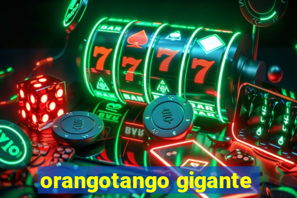 orangotango gigante